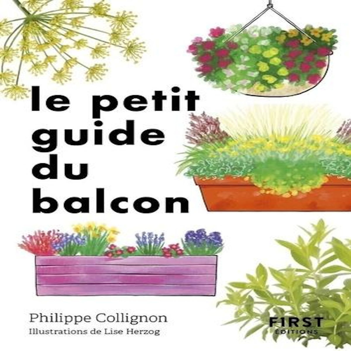 LE PETIT GUIDE DU BALCON, Collignon Philippe