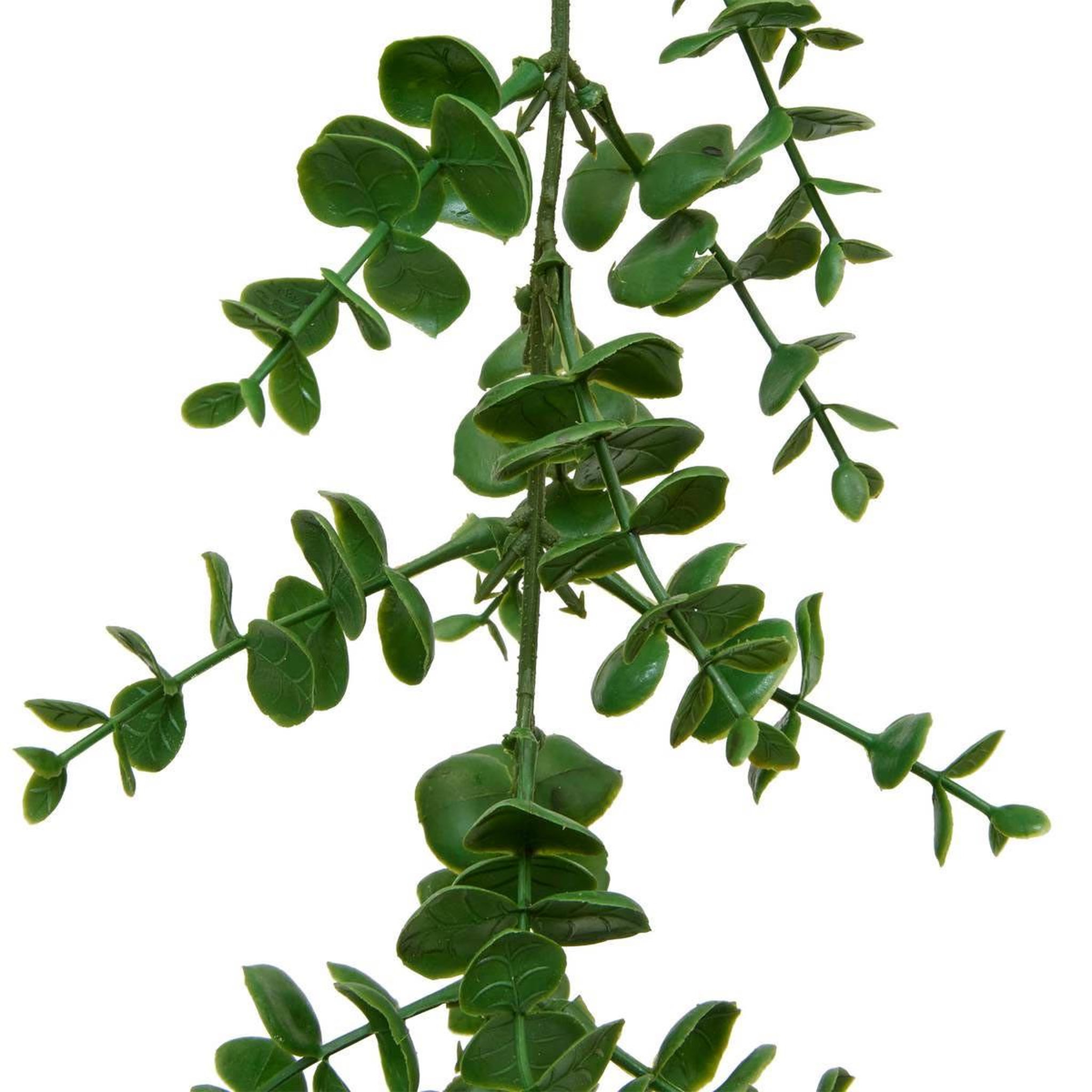 Voir la diapositive 2 : ATMOSPHERA Guirlande d'eucalyptus artificiel  walker  170cm vert