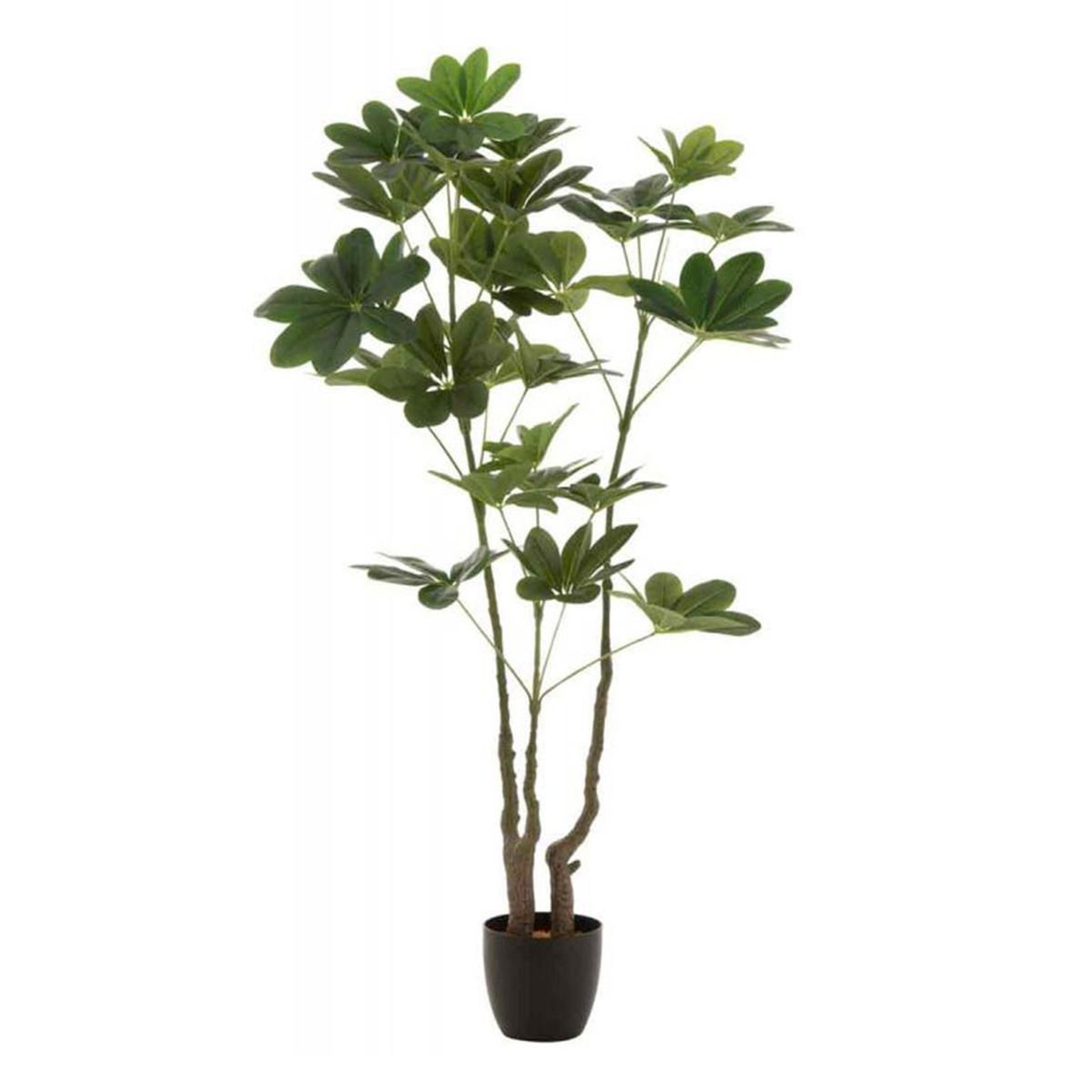 J-LINE Plante artificielle en pot  pachira  157cm vert