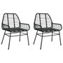 Voir la diapositive 2 : VIDAXL Chaises de jardin lot de 2 Noir Resine tressee