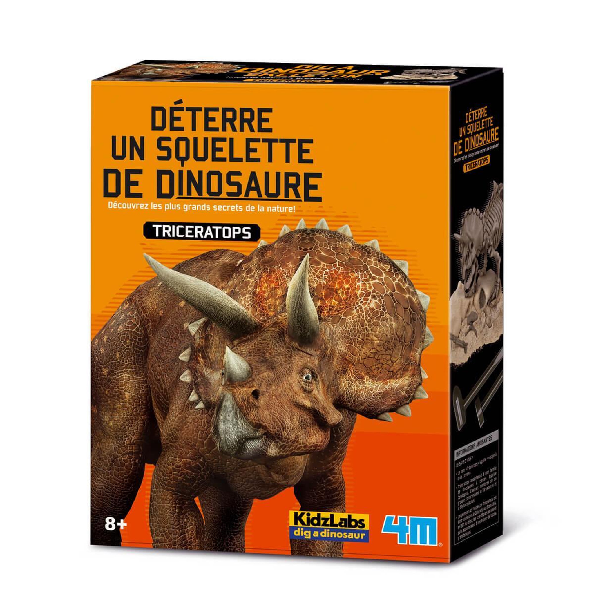 4M Déterre ton dinosaure : tricératops
