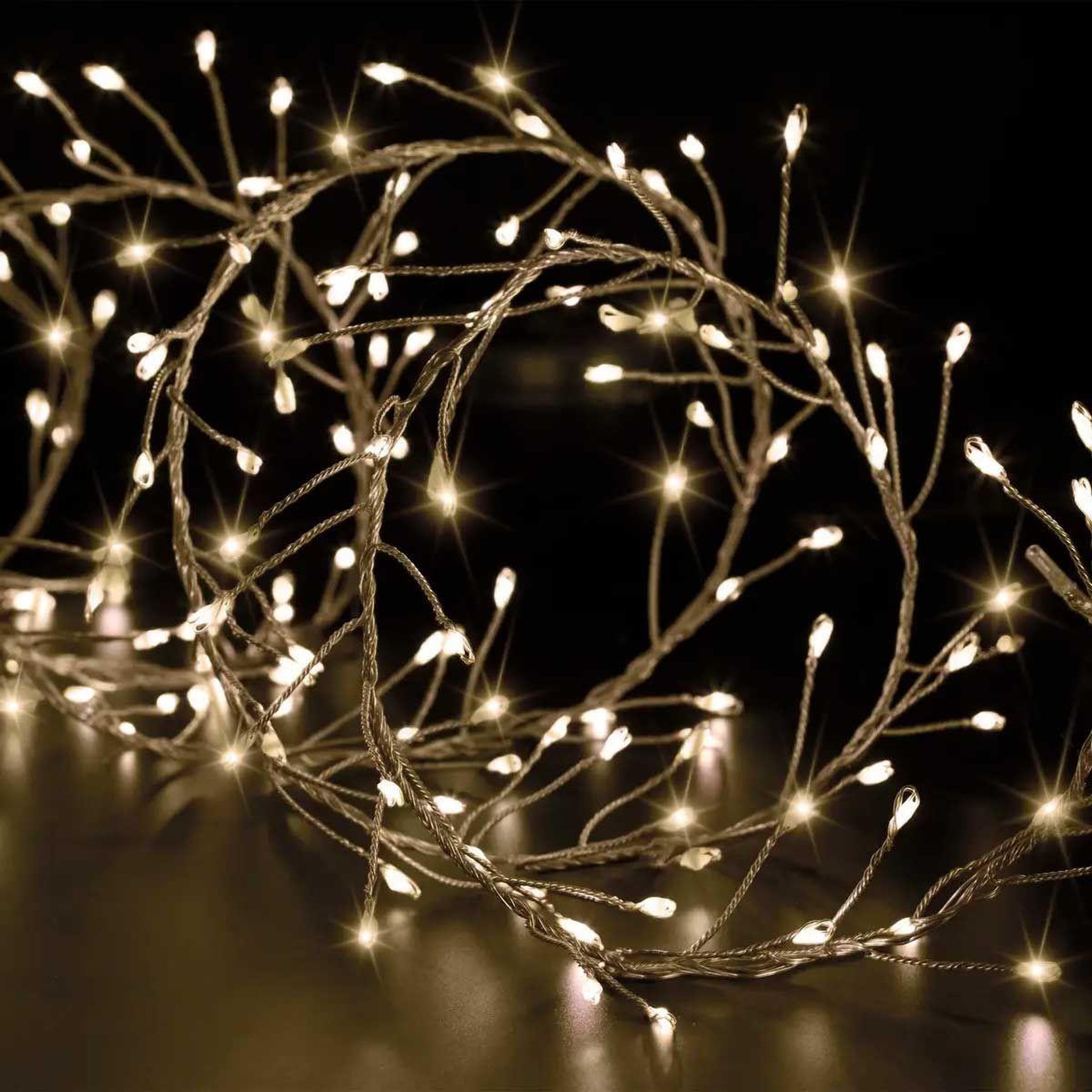 FEERIC LIGHT & CHRISTMAS Guirlande lumineuse extérieur  boa  2,5m blanc chaud