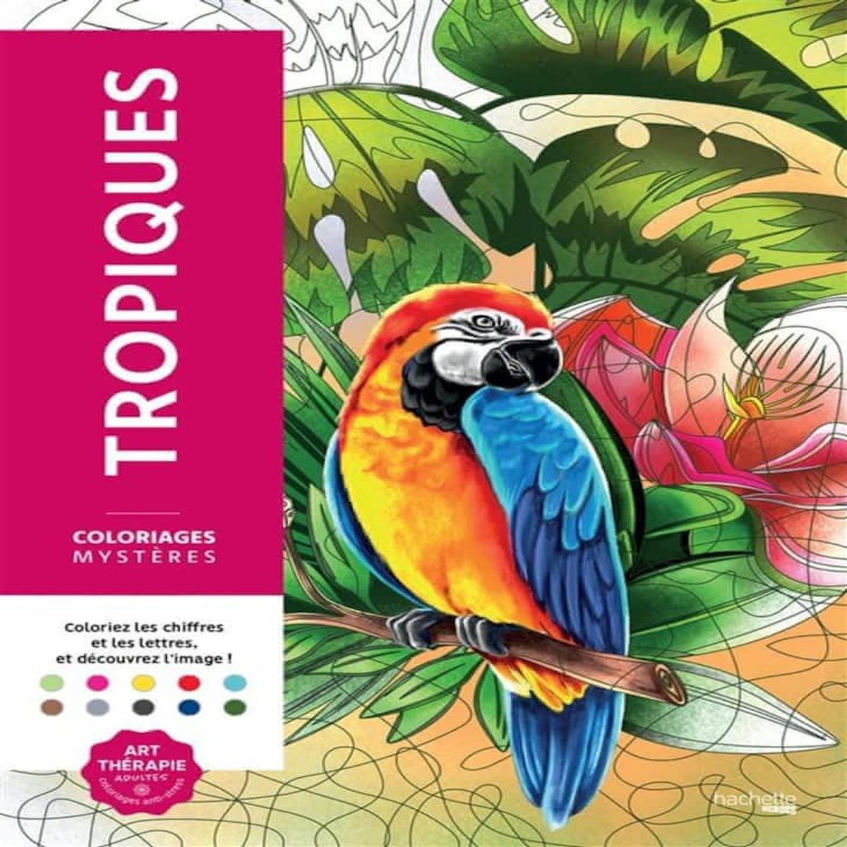 TROPIQUES, Mendès Charlotte