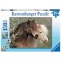 RAVENSBURGER Puzzle 150 pièces XXL : Magnifiques chevaux