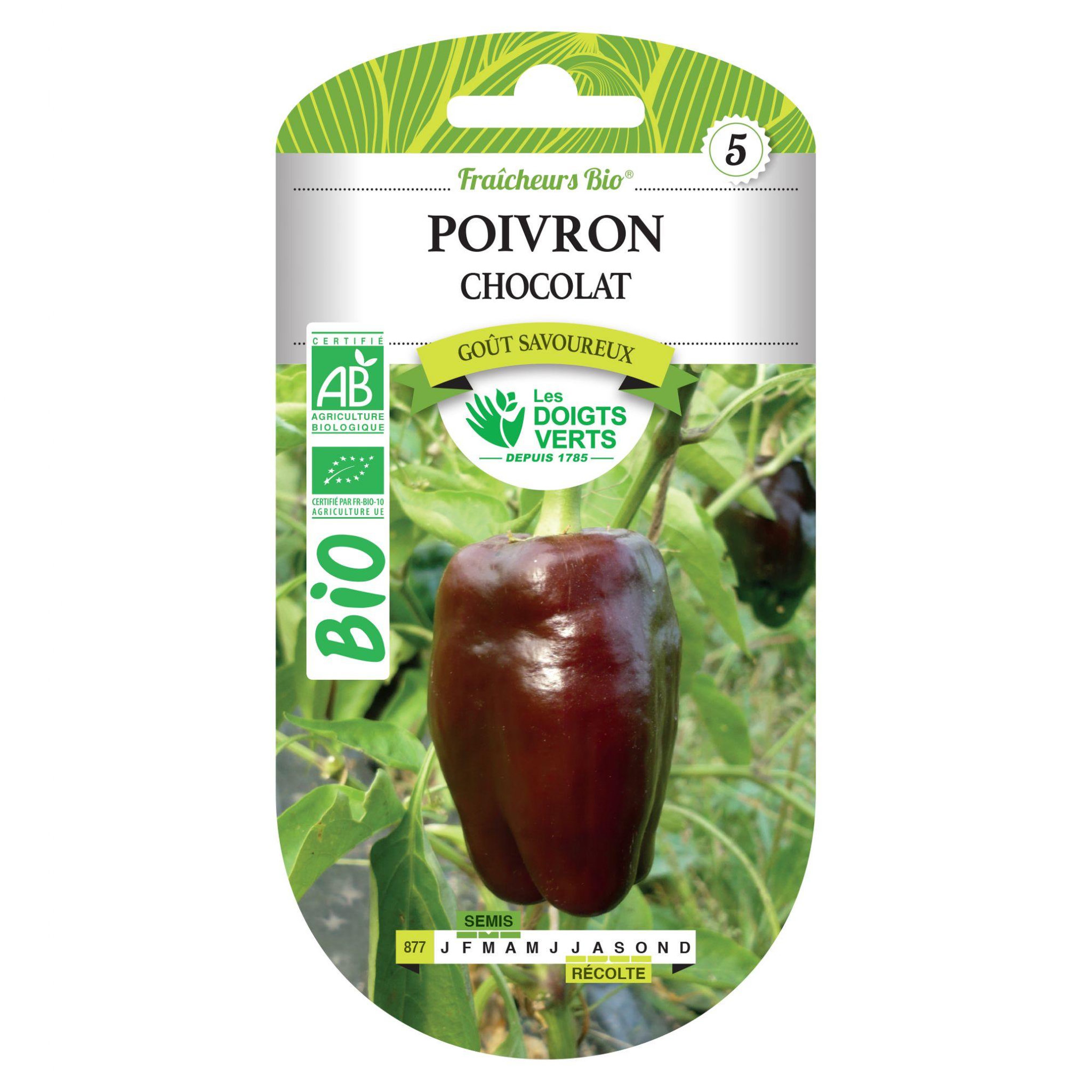 LES DOIGTS VERTS Graines poivron chocolat BIO Les Doigts Verts