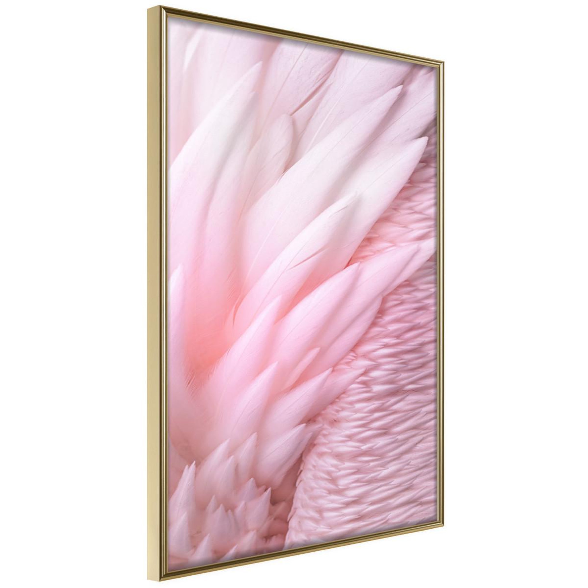 Paris Prix Affiche murale encadrée  pink feathers
