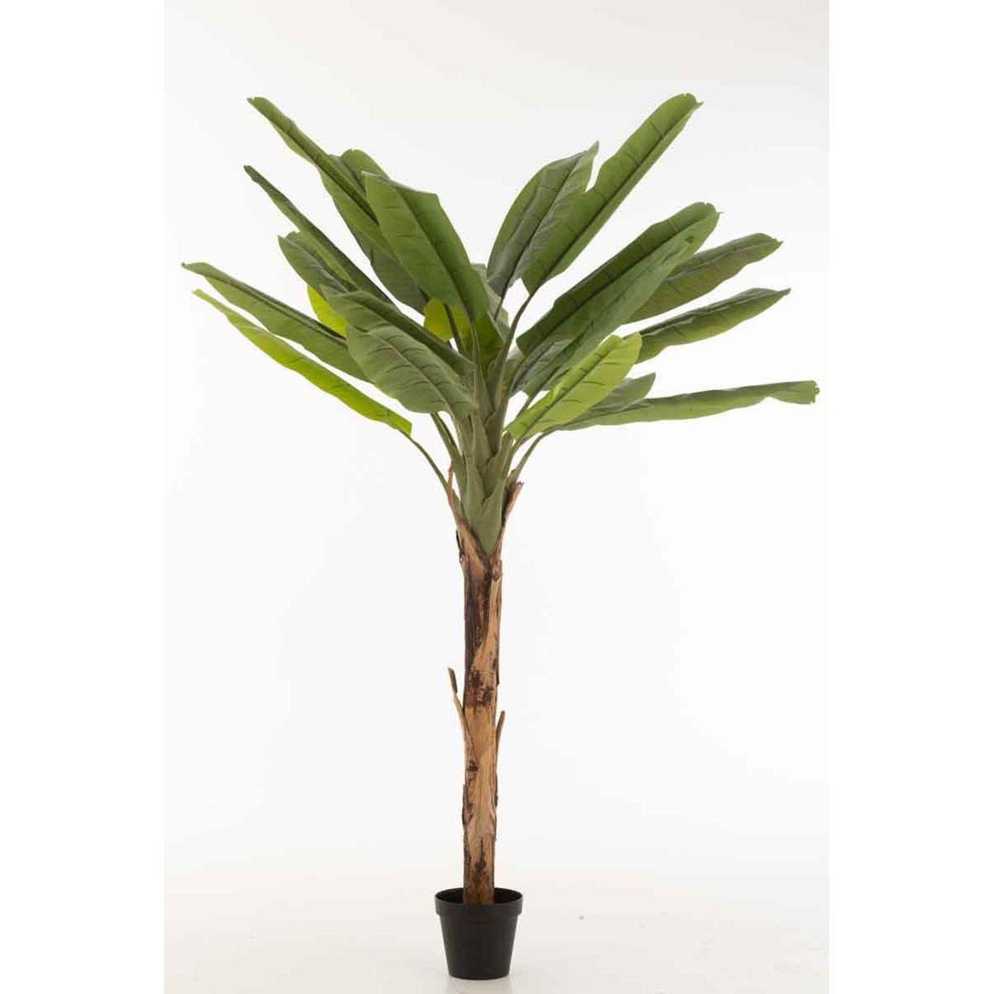 Voir la diapositive 4 : J-LINE Plante artificielle en pot  ficus  129cm vert & noir