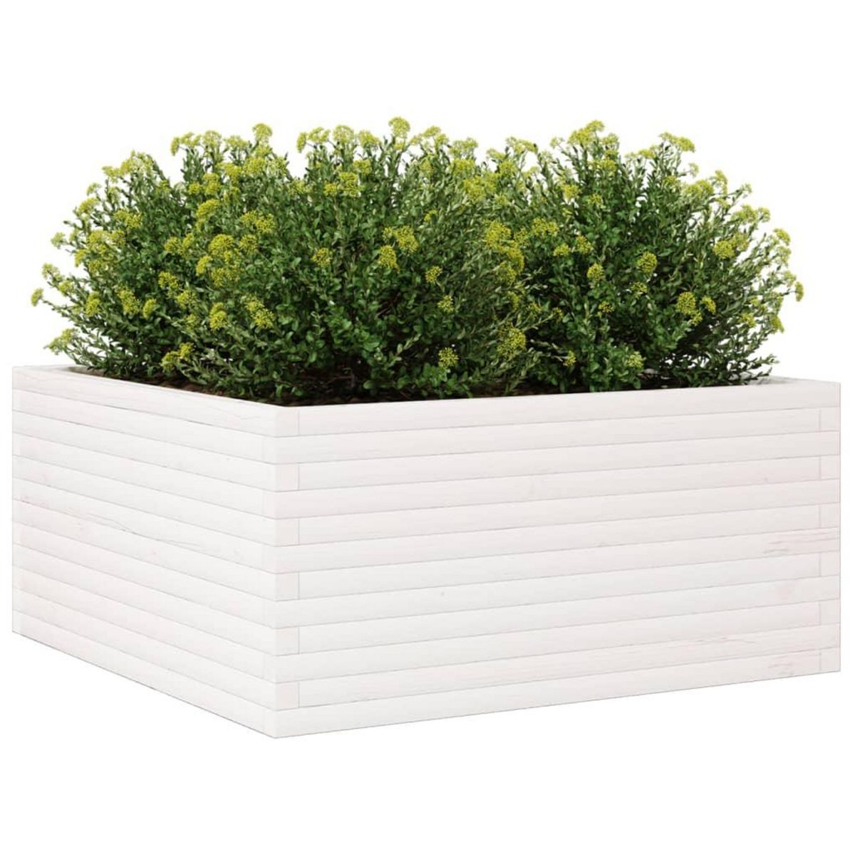VIDAXL Jardiniere blanc 100x100x46 cm bois de pin massif