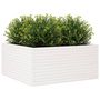 Voir la diapositive 4 : VIDAXL Jardiniere blanc 100x100x46 cm bois de pin massif