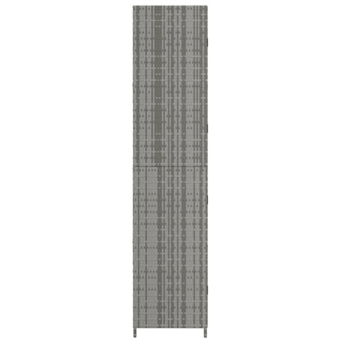 VIDAXL Armoire de rangement jardin Gris 59x40x180 cm Résine tressée