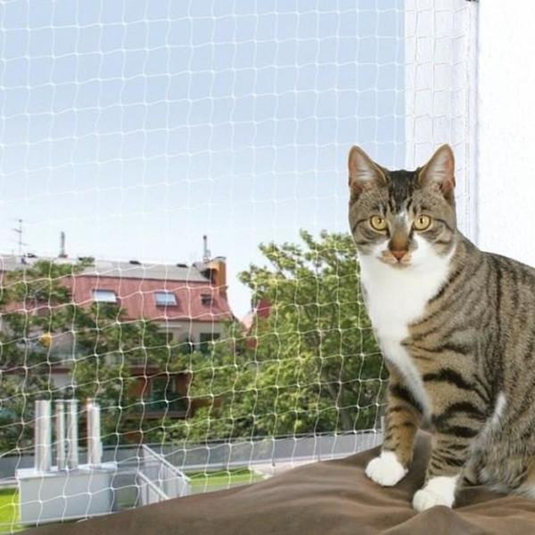 Trixie TRIXIE Filet de protection chat 6x3 m transparent