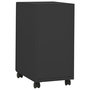 Voir la diapositive 4 : VIDAXL Classeur mobile Anthracite 30x45x59 cm Acier