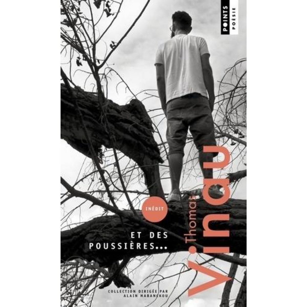 ET DES POUSSIERES..., Vinau Thomas