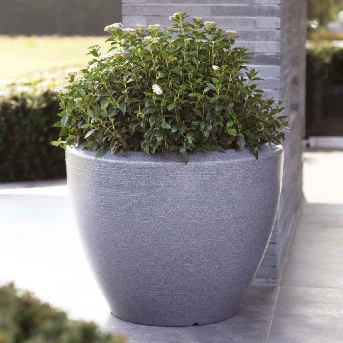 CAPI Capi Pot a plantes conique bas Arc Granite 60x48 cm Anthracite