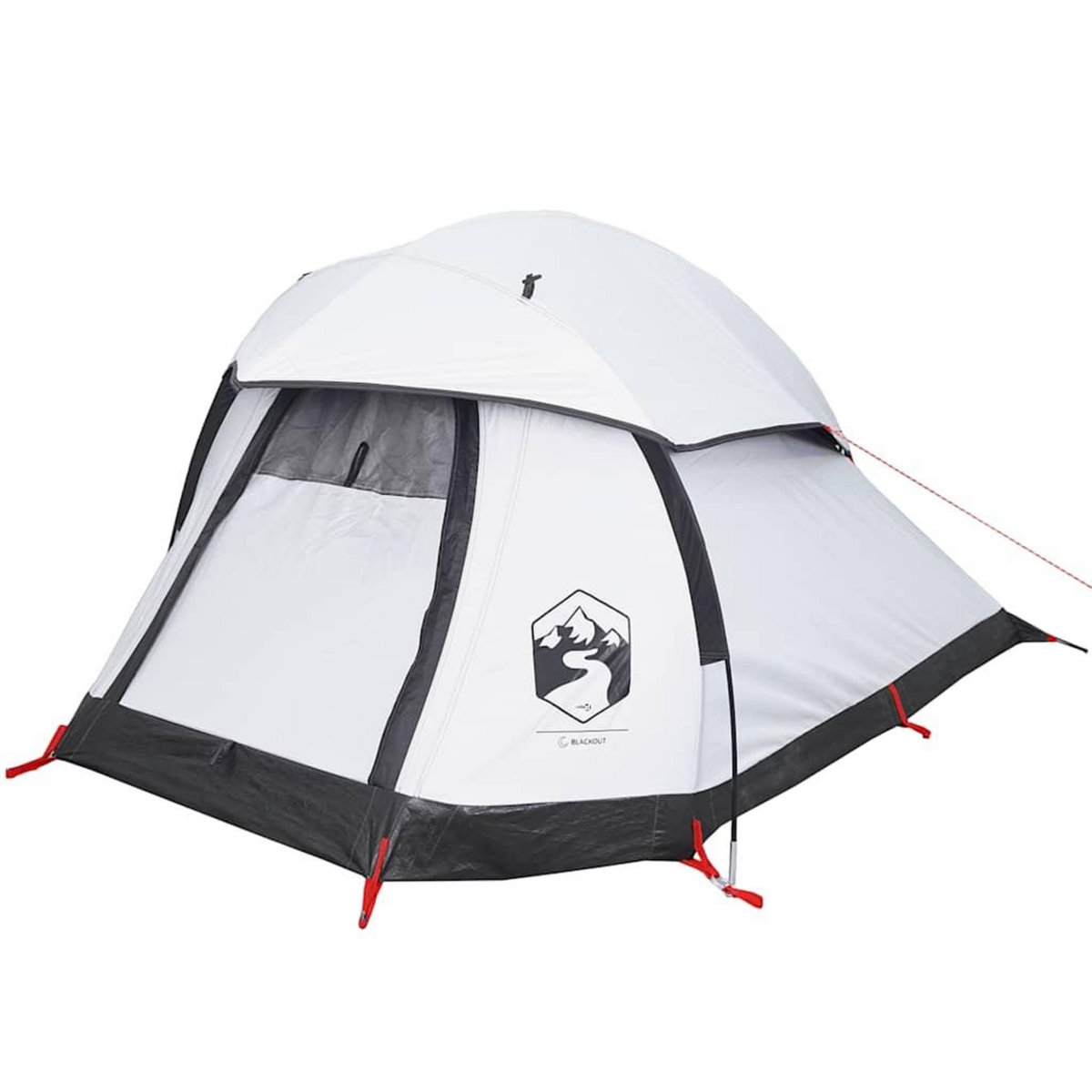 VIDAXL Tente de camping a dome 1 personne tissu occultant impermeable