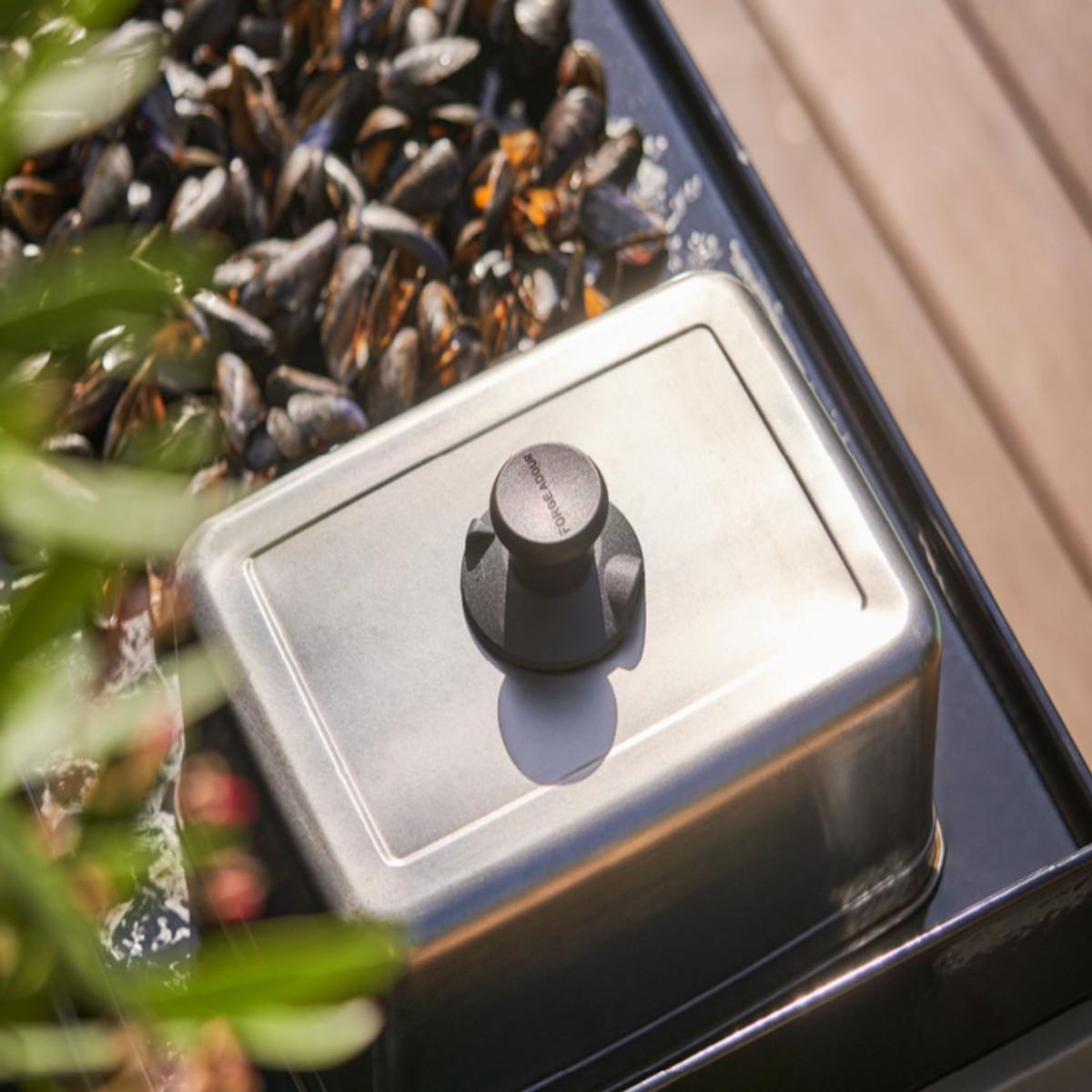 FORGE ADOUR Cuiseur et grille titane - Forge Adour