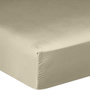 Voir la diapositive 1 : BATON ROUGE Drap housse 100% satin de coton 105 fils