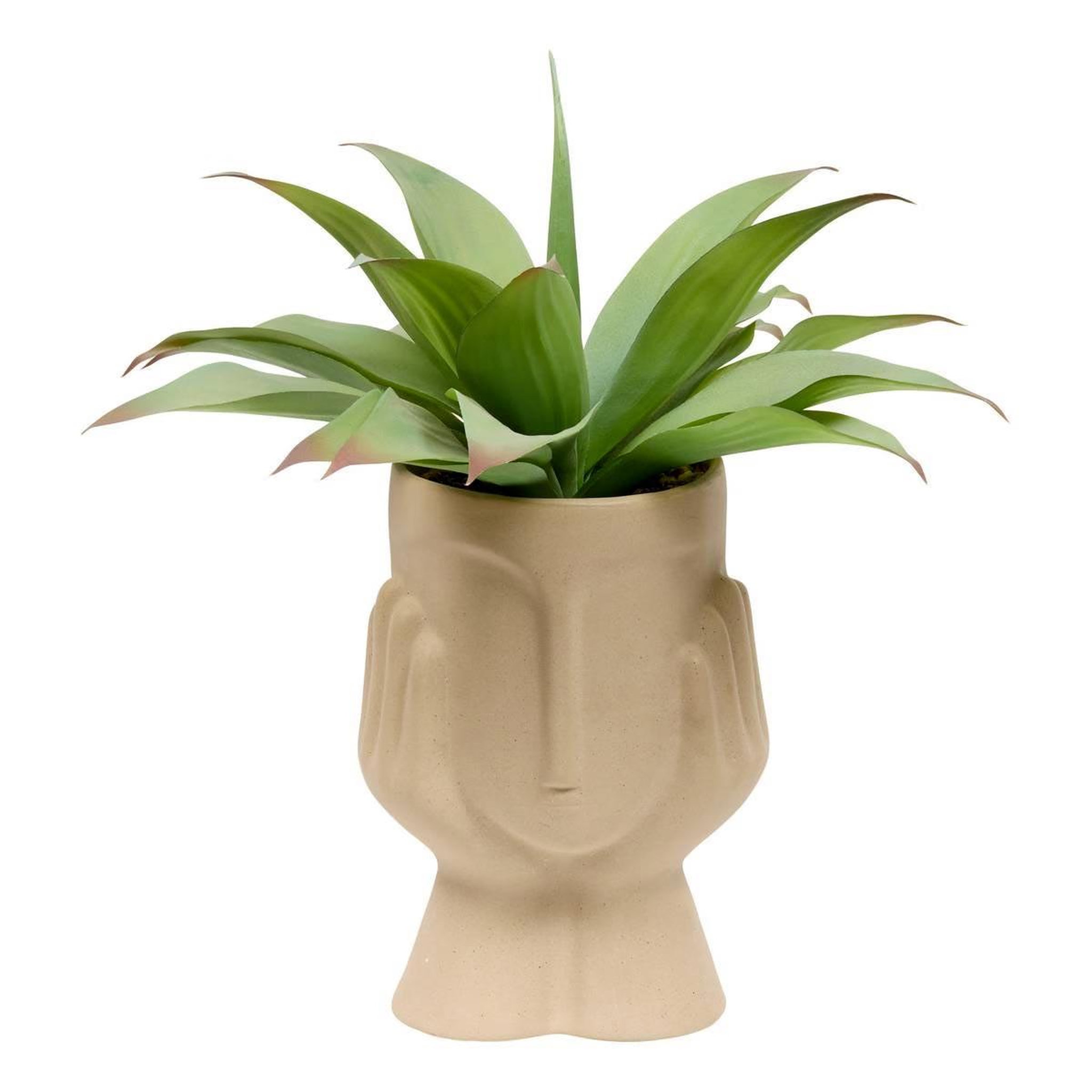 ATMOSPHERA Agave artificiel en pot  sien  48cm multicolore