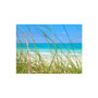 Voir la diapositive 2 : Paris Prix Papier Peint  Tropical Journey