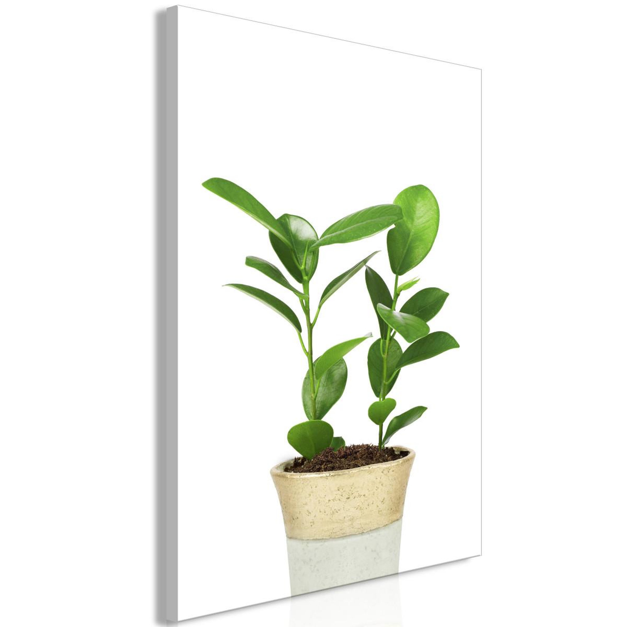 Voir la diapositive 1 : Paris Prix Tableau imprimé  plant in pot