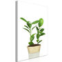 Voir la diapositive 1 : Paris Prix Tableau Imprimé  Plant in Pot
