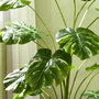 Voir la diapositive 5 : HOMCOM Arbre artificiel plante artificielle Monstera H. 180 cm tronc branches lichen feuilles de tortue grand réalisme pot inclus