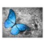 Paris Prix Papier Peint  Blue Butterfly 
