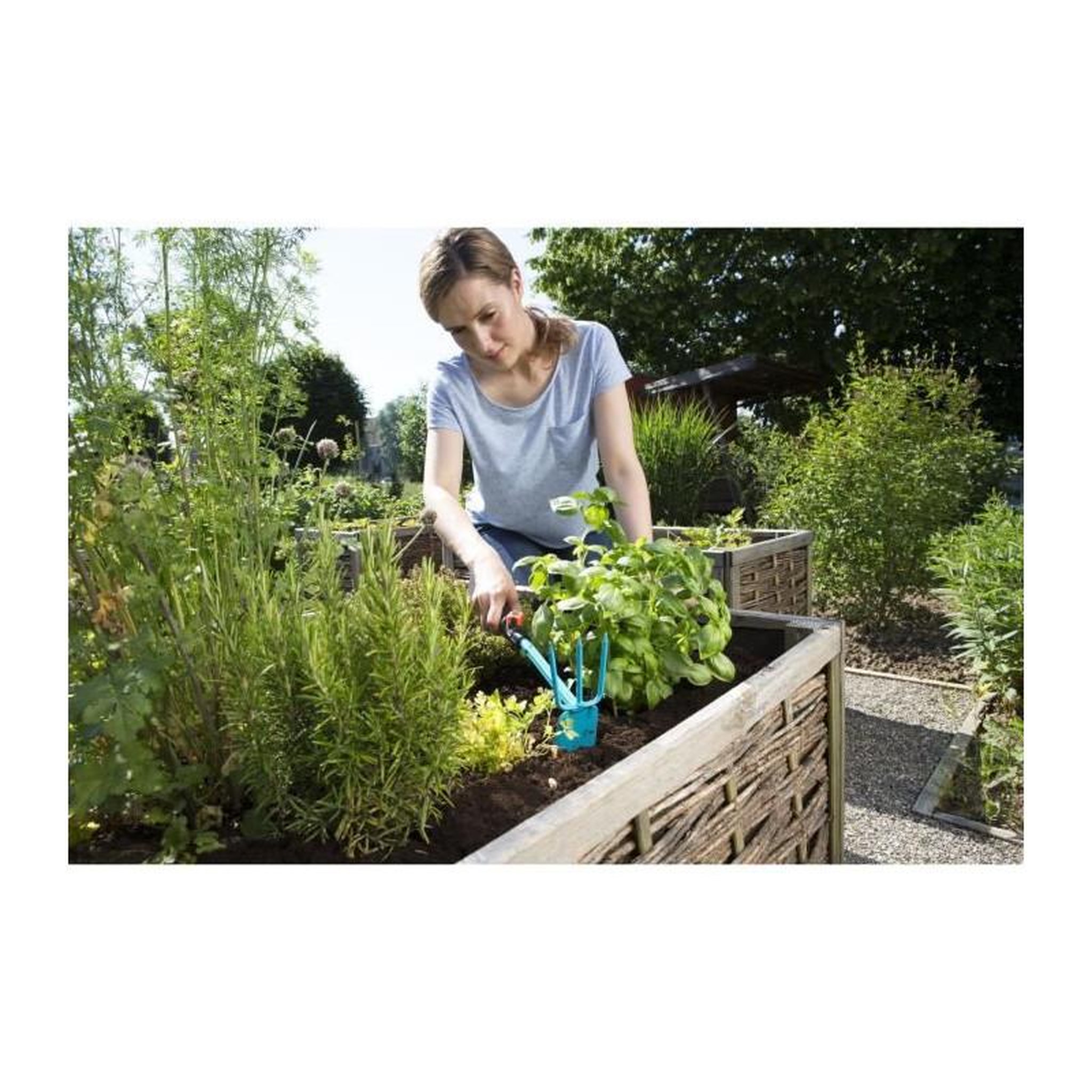 Voir la diapositive 4 : Gardena GARDENA Serfouette a fleurs 6.5cm Combisystem - Acier enduit - Outil adapte pour tout travaux de sol - Garantie 25 ans 8915-20