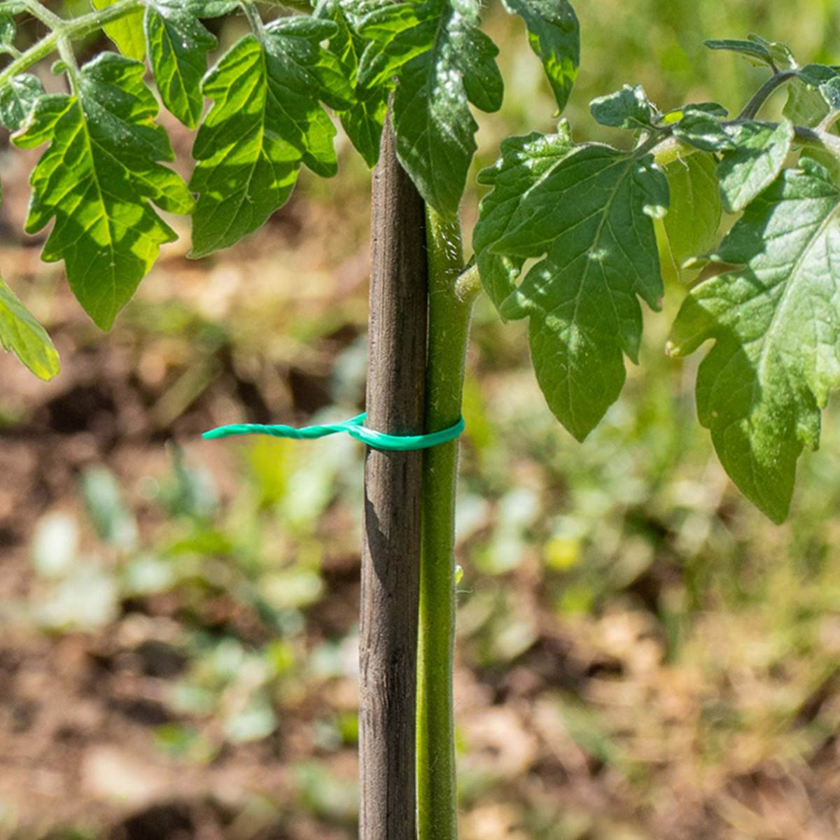 ID MARKET Lien de fixation pour brise vue 30 M