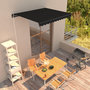 Voir la diapositive 1 : VIDAXL Auvent manuel retractable 350x250 cm Anthracite