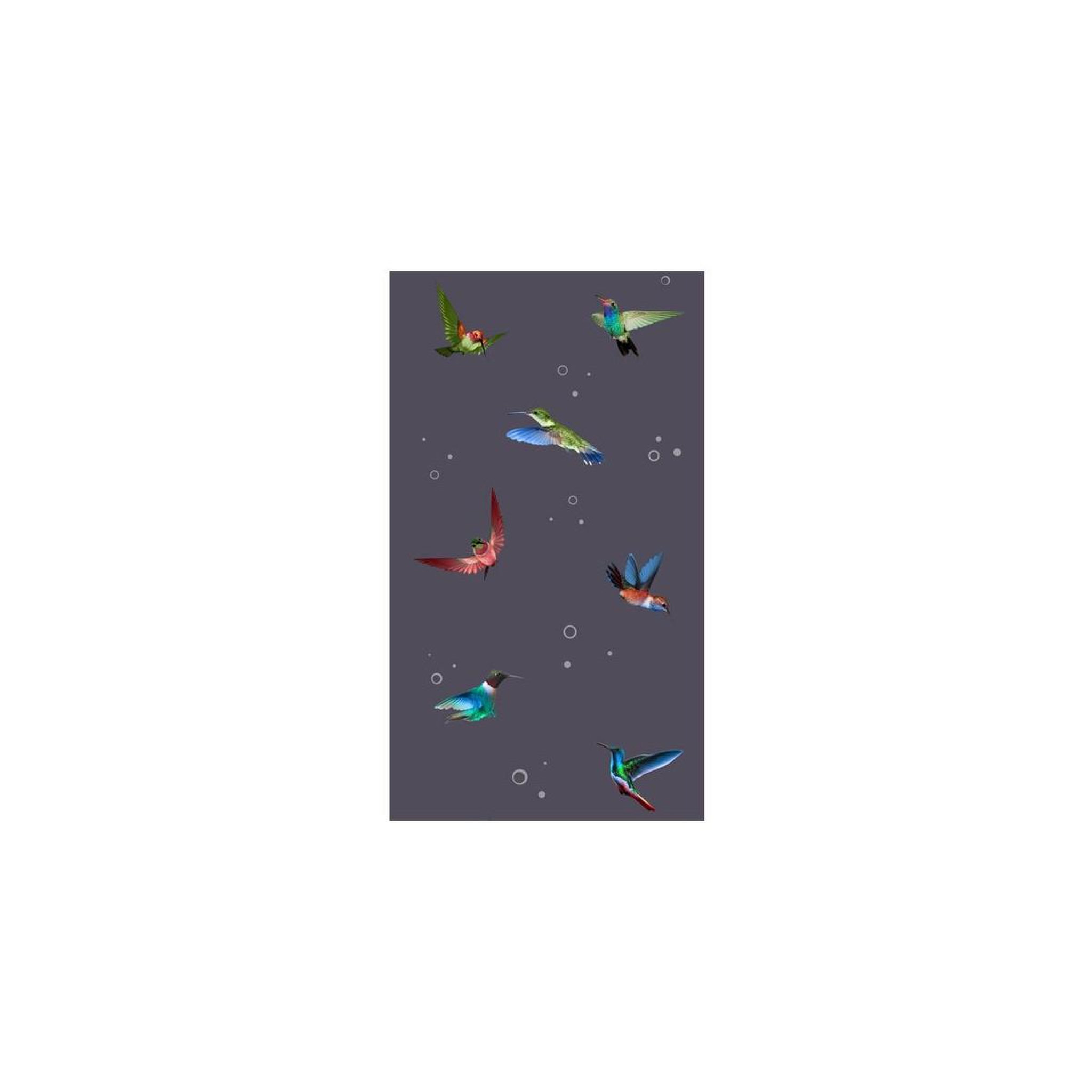 Voir la diapositive 2 : Paris Prix Papier peint  flight of hummingbirds  50x1000cm