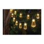 Voir la diapositive 1 : Smart garden Guirlande DécoBulb 10L - 20 ampoules