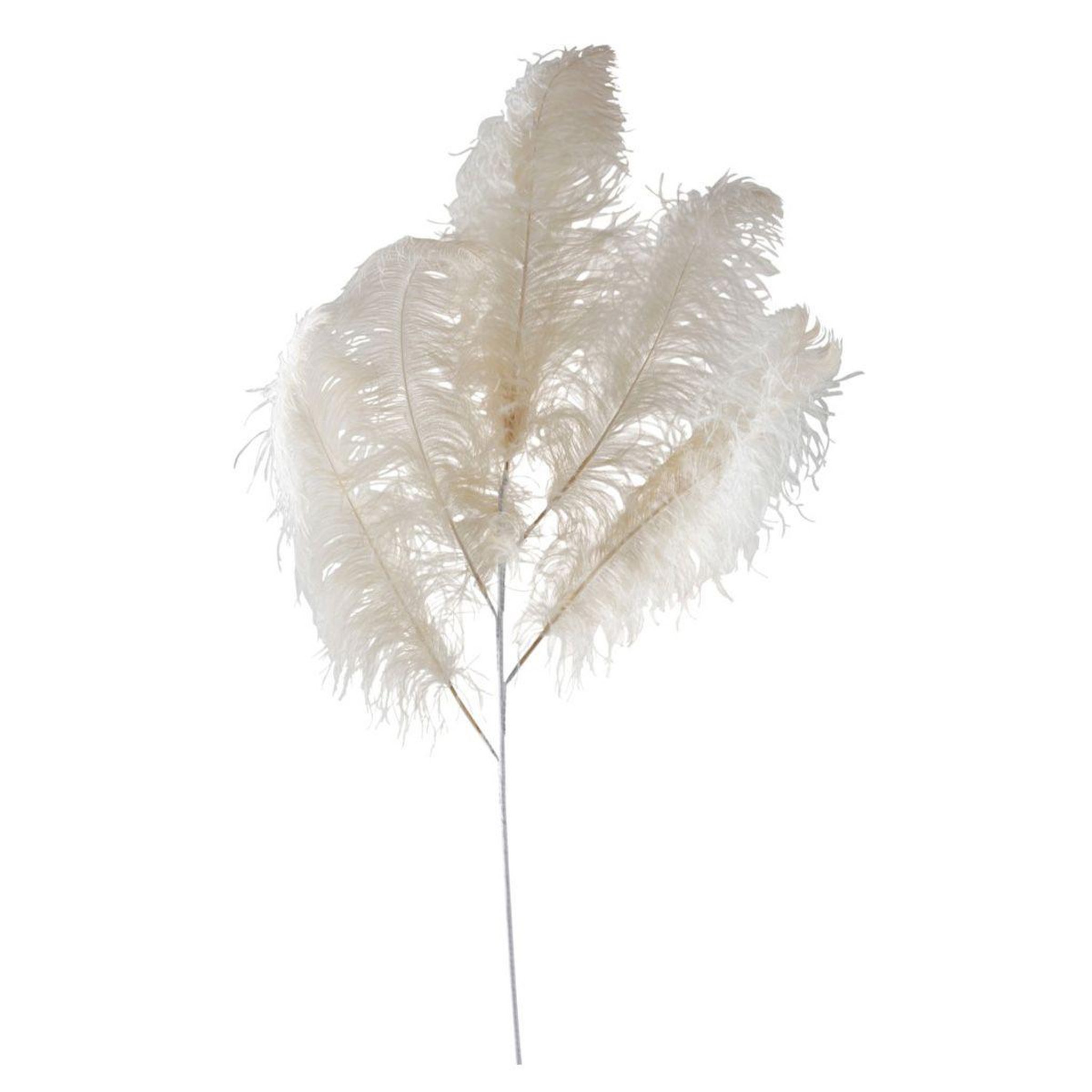 Voir la diapositive 1 : J-LINE Plante artificielle  plume d'autruche  143cm ivoire