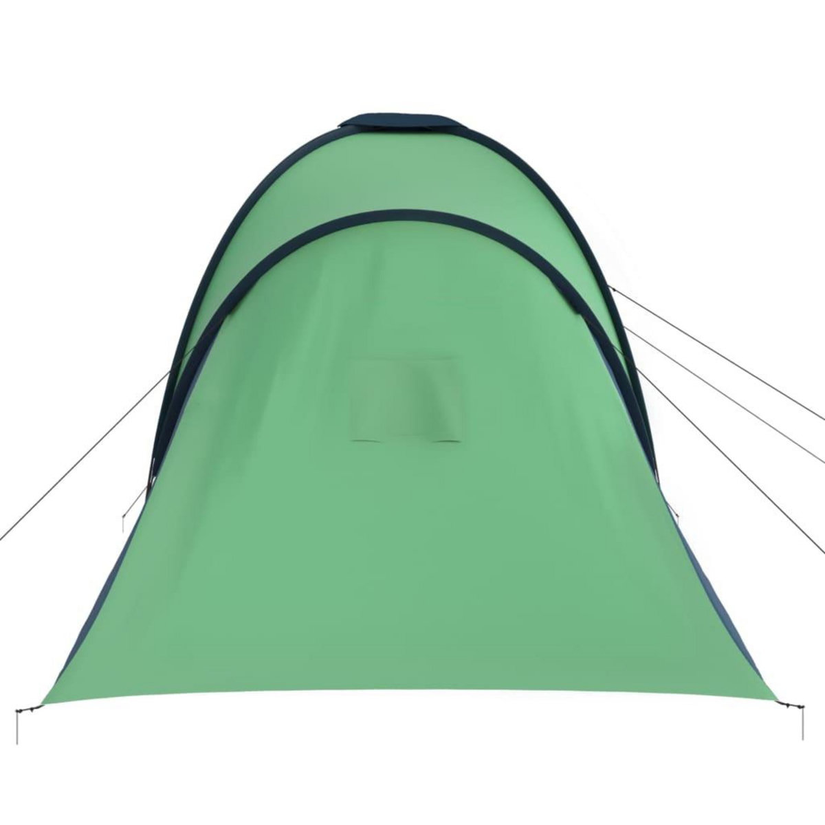 VIDAXL Tente de camping pour 6 personnes bleu et vert