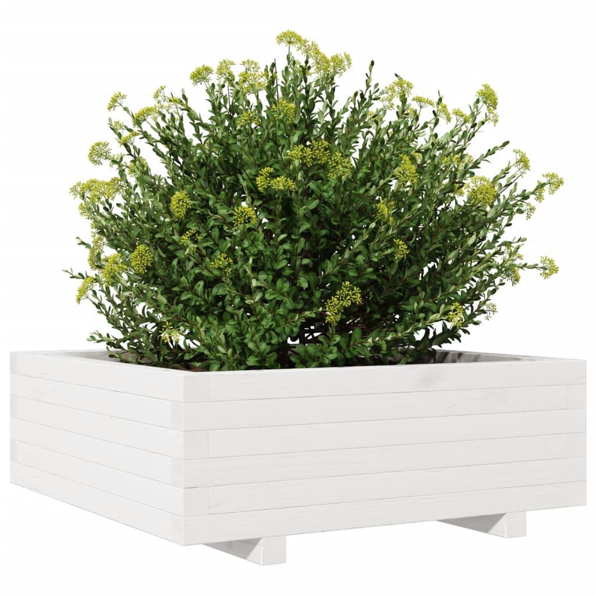 Voir la diapositive 4 : VIDAXL Jardiniere blanc 70x70x26,5 cm bois de pin massif