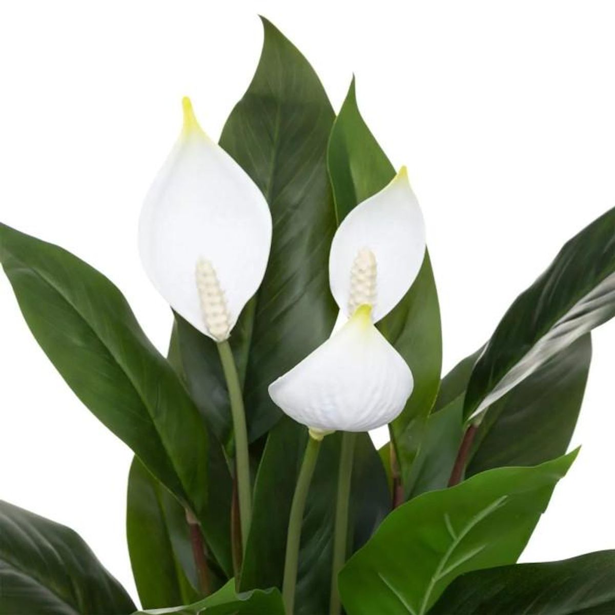 ATMOSPHERA Plante Artificielle  Lys de la Paix  54cm Vert & Blanc