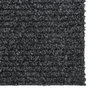 Voir la diapositive 3 : VIDAXL Tapis 100x250 cm Anthracite