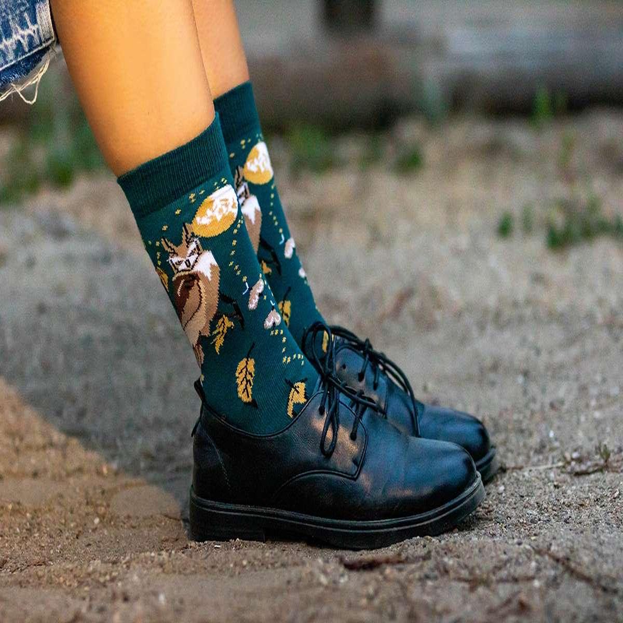 Voir la diapositive 5 : PIRIN HILL Chaussettes coton bio automne chouettes
