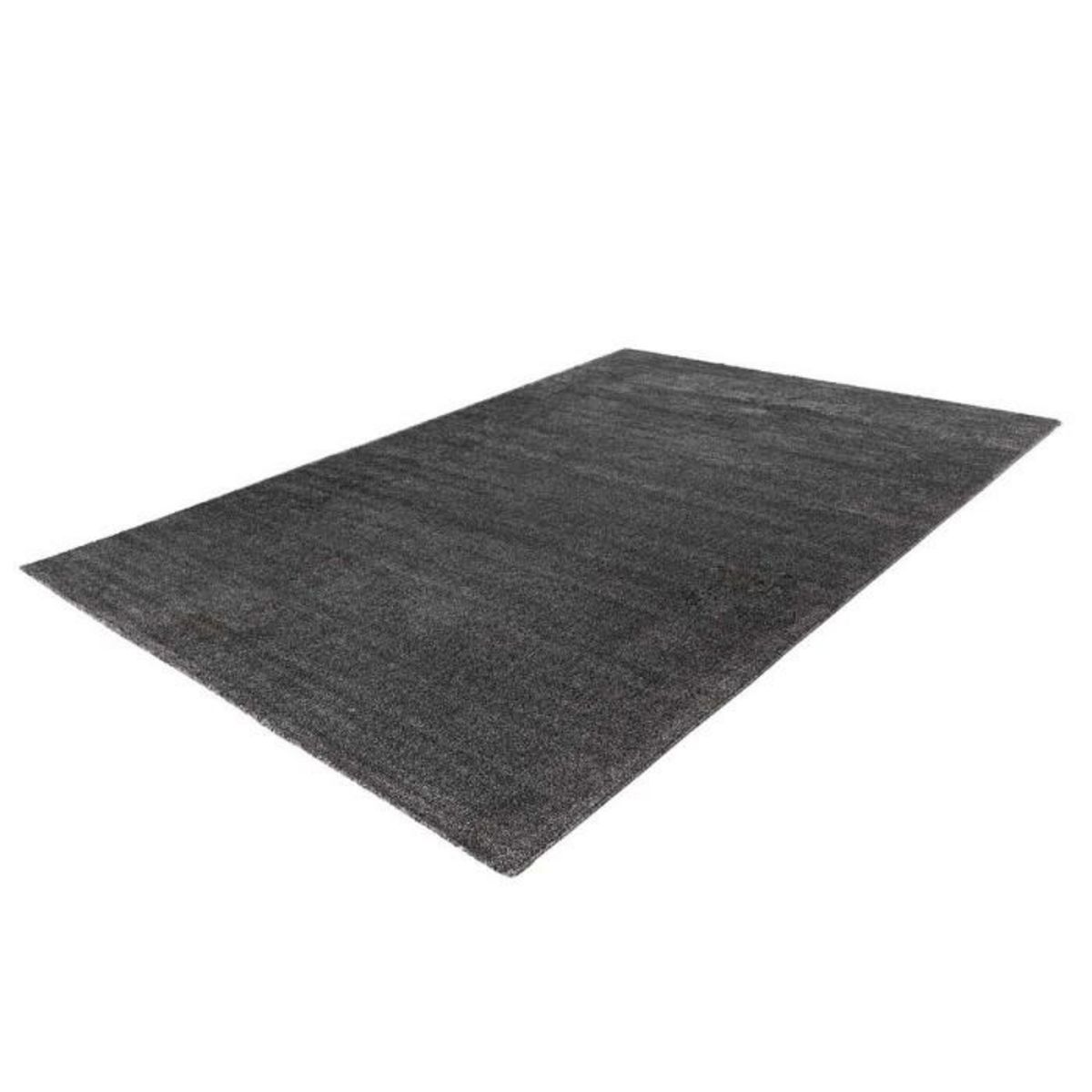 Paris Prix Tapis Tissé Shaggy à Poils Longs  Nila  Anthracite