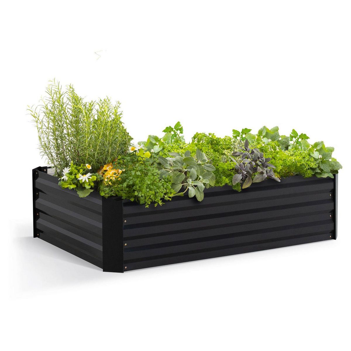 Jardikt Carré potager - Métal - 115x80x20 cm