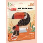 Graine créative Kit String art Toucan en bois