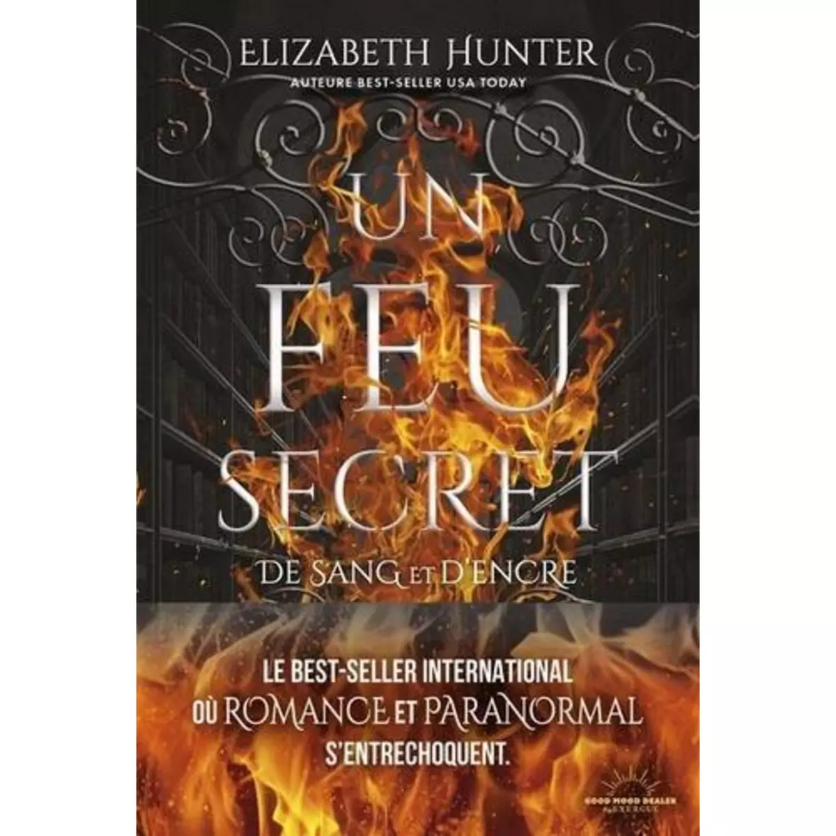  DE SANG ET D'ENCRE TOME 1 : UN FEU SECRET, Hunter Elizabeth