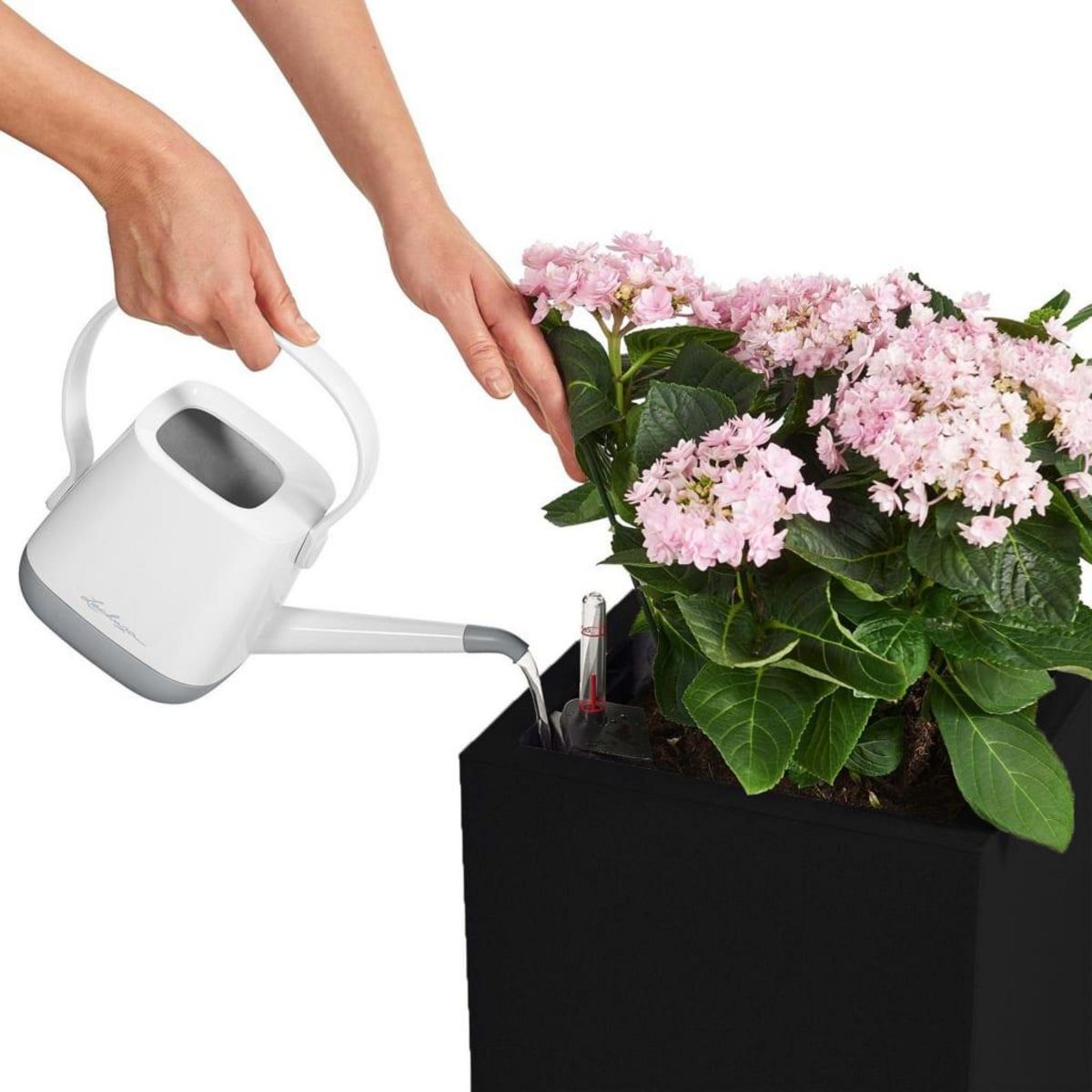 LECHUZA LECHUZA Jardiniere Canto Color Square 40 ALL-IN-ONE Graphite 13722