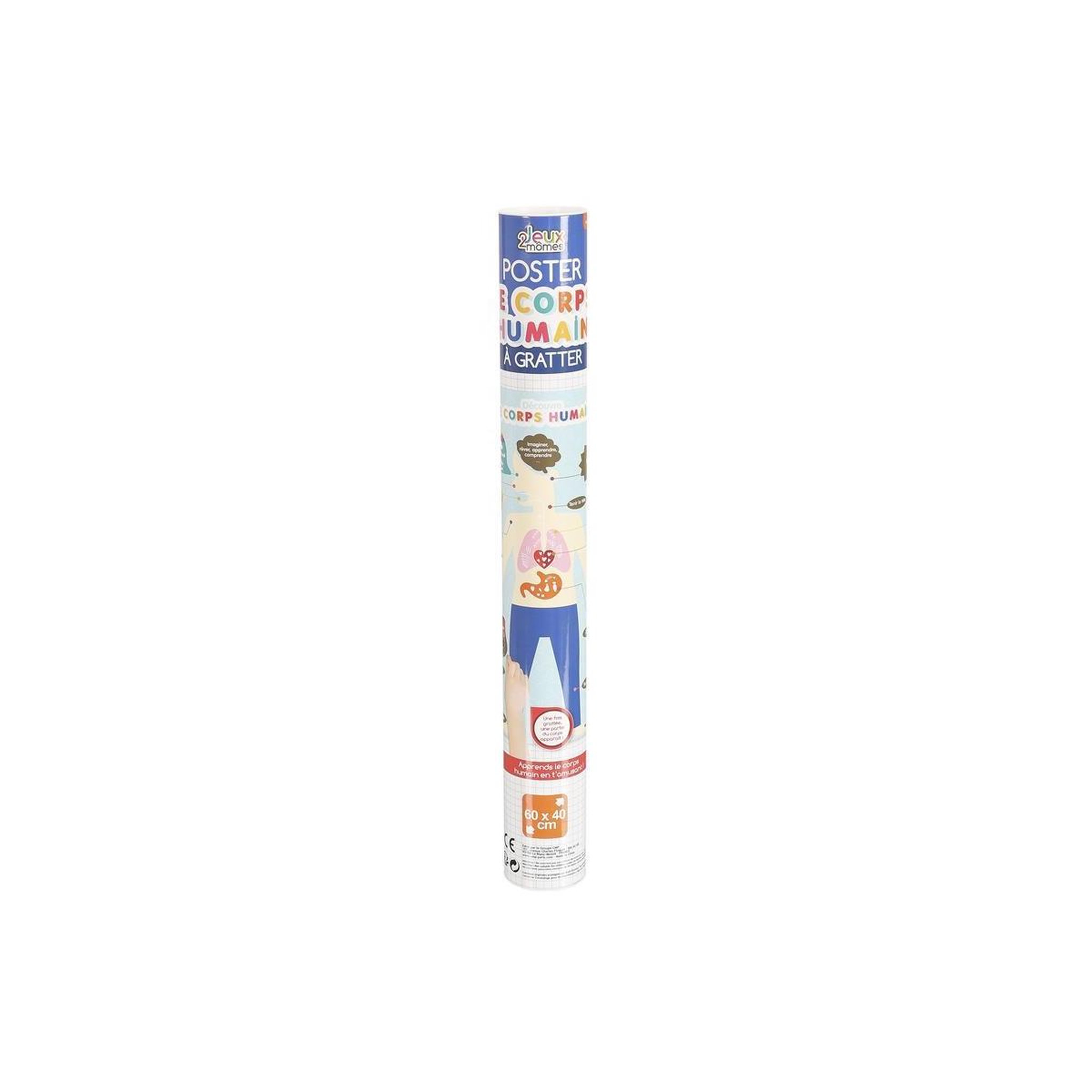 Voir la diapositive 2 : Jeux 2 momes Poster à gratter pour enfant  corps humain  60cm bleu
