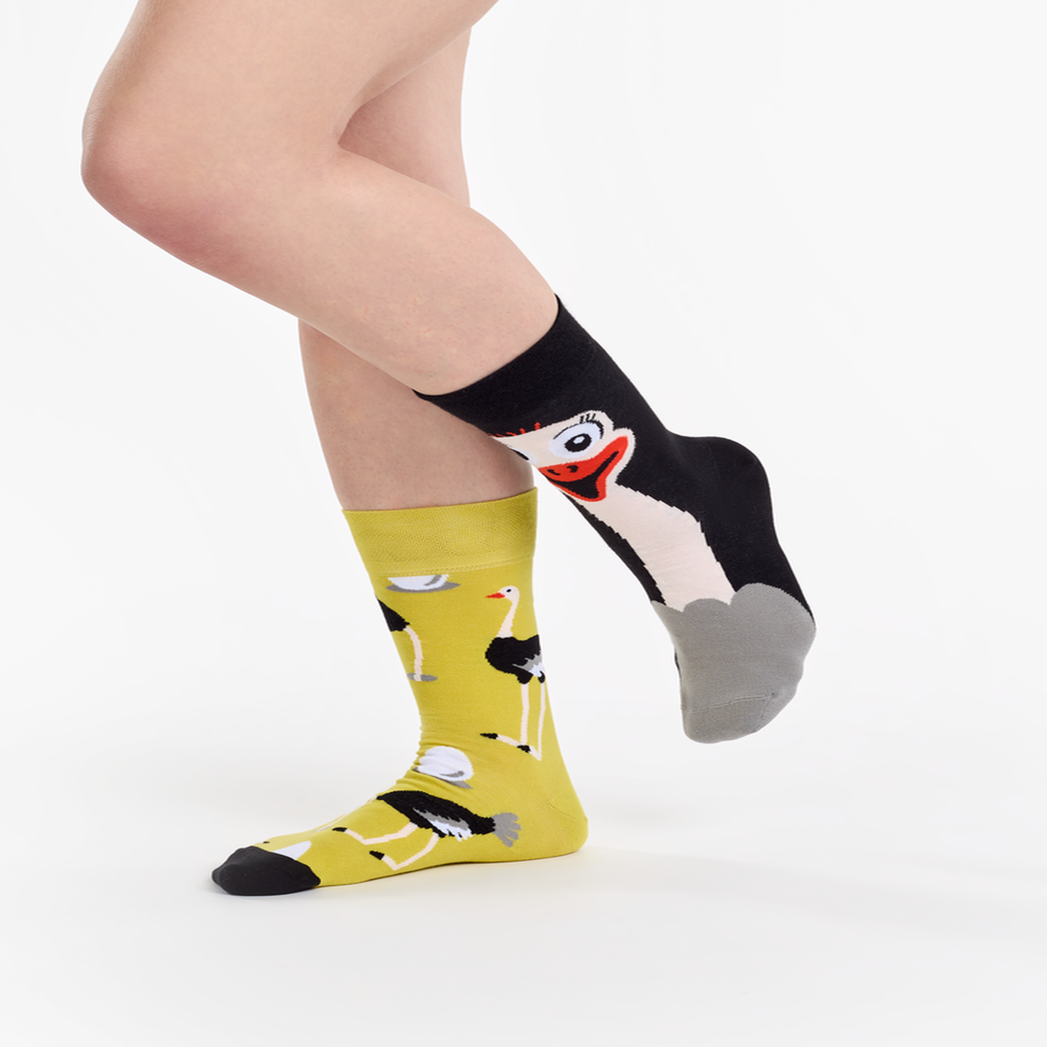 Voir la diapositive 2 : DEDOLES Chaussettes autruche