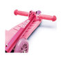 Voir la diapositive 2 : BIGJIGS Trottinette enfant Didiscoot rose