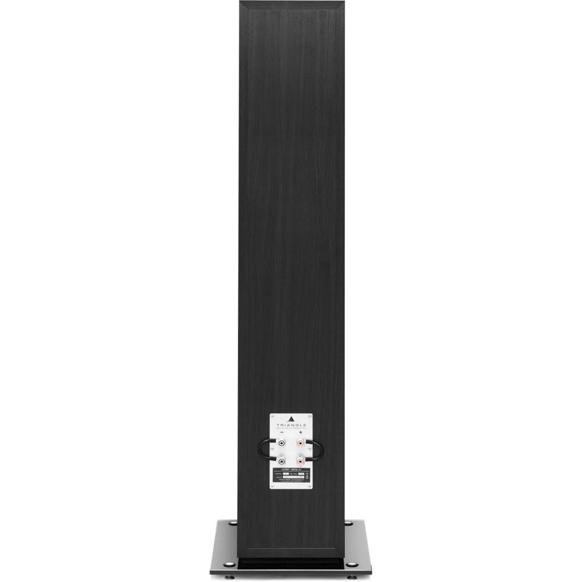 Triangle Enceinte colonne Antal esprit EZ bois noir