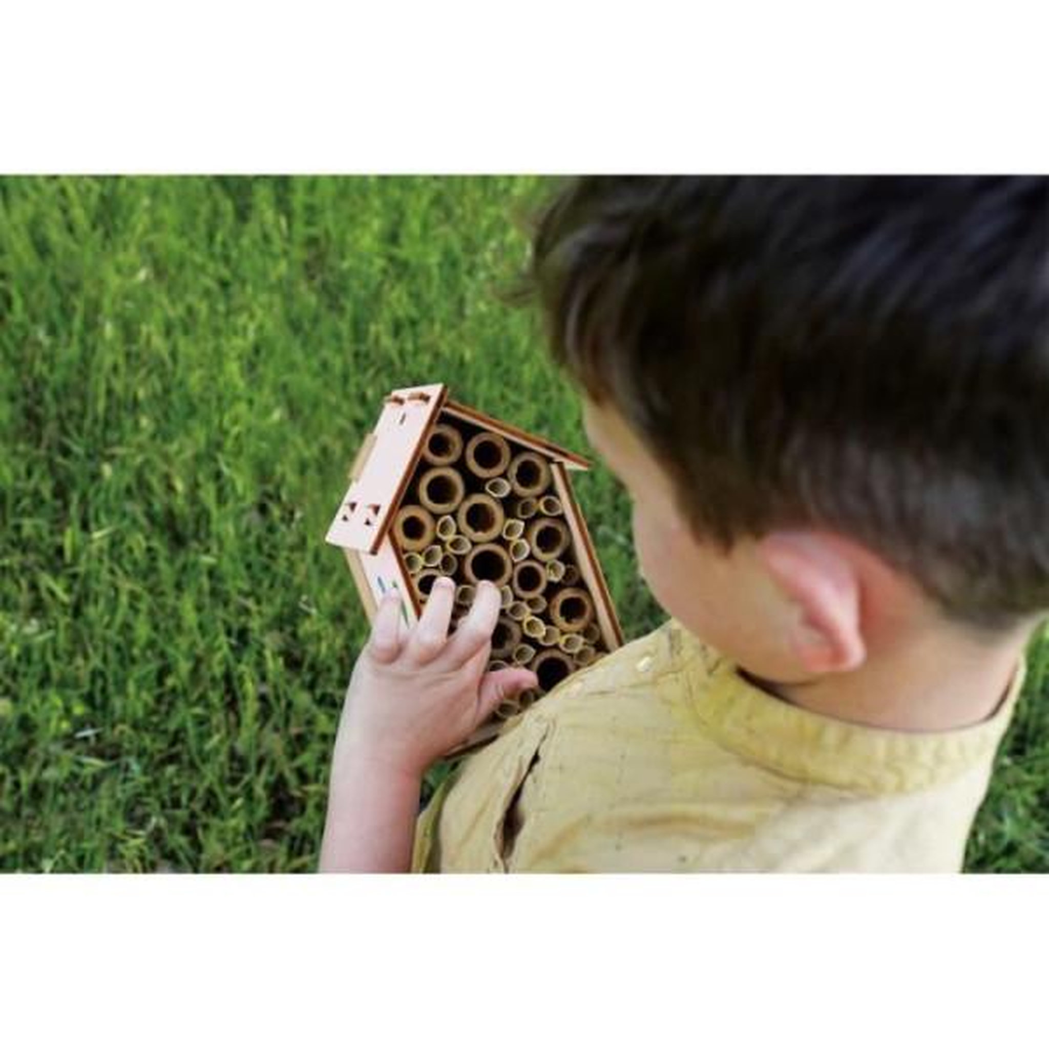 Voir la diapositive 3 : LISCIANI GIOCHI Laboratoire des abeilles - Kit Scientifique - I'M A GENIUS - Expériences variées