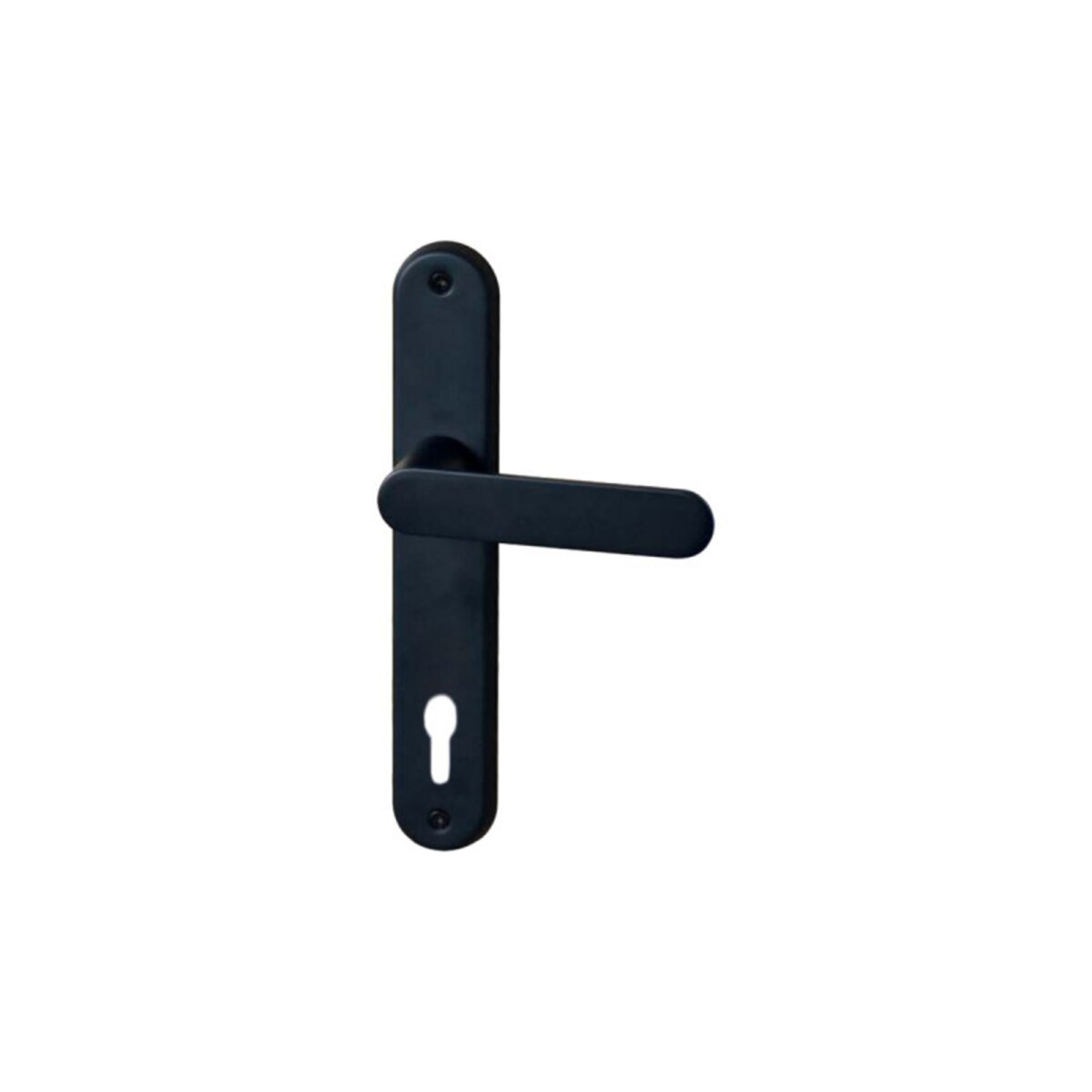 ESPACE-BRICOLAGE Poignée de porte sur plaque à clé classique modèle Daphné - Noir velouté