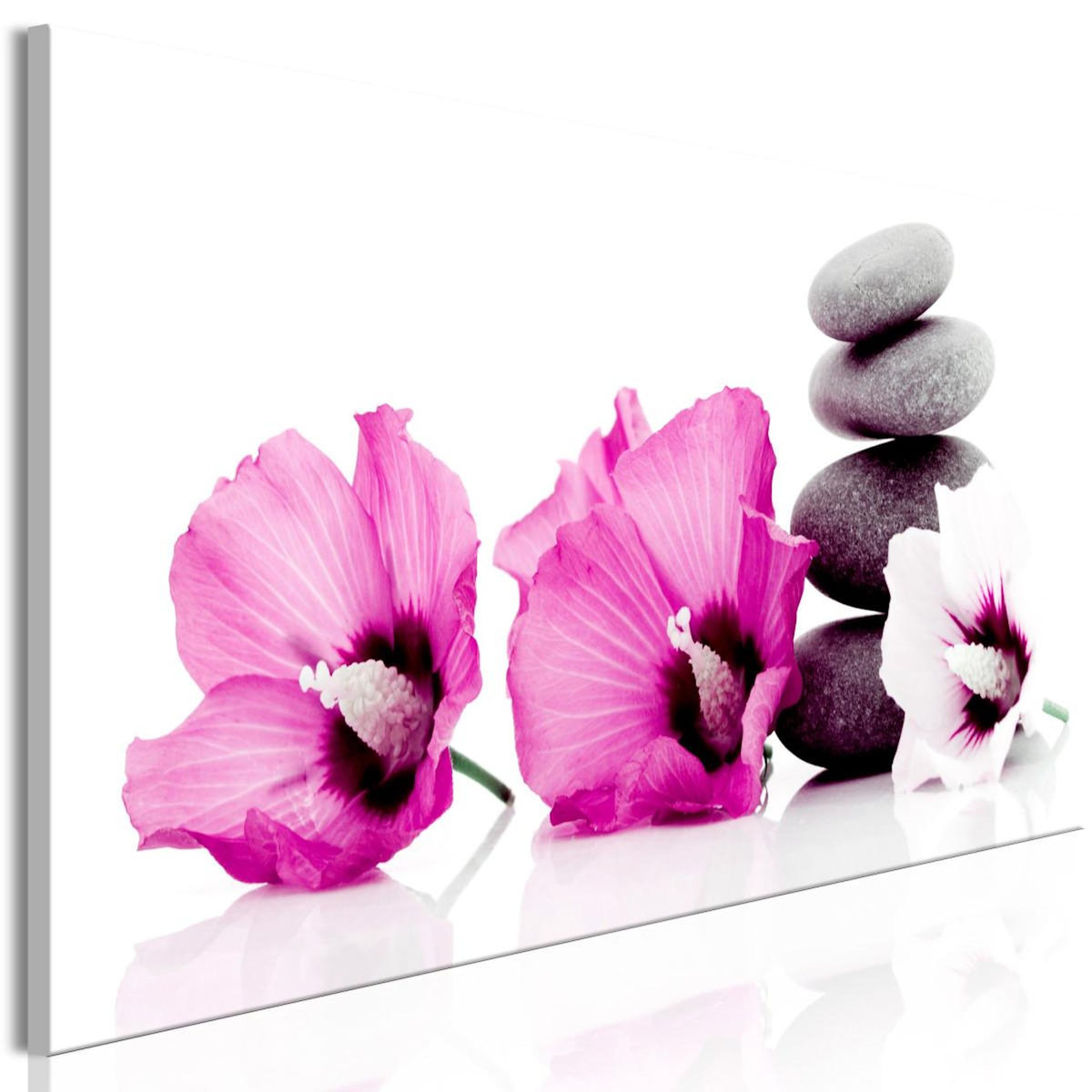 Paris Prix Tableau Imprimé  Calm Mallow Narrow Pink